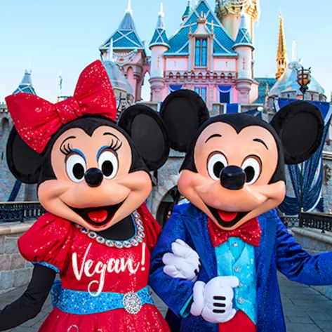 Vegan Guide to Disneyland: All the Magical Plant-Based Options