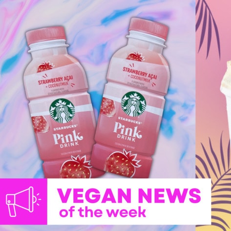 Starbucks Pink Drinks, 'Sex and the City' Pudding, and More Vegan Food News of the Week