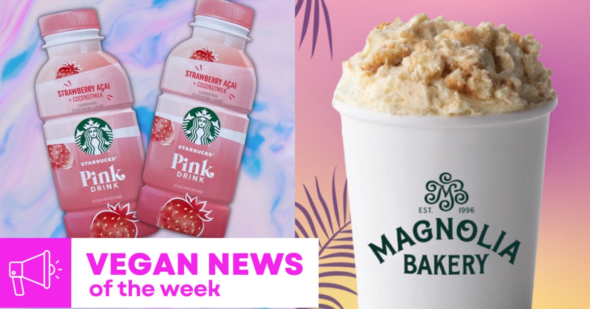 Starbucks Pink Drinks, 'Sex in the City' Pudding, and More Vegan Food News of the Week
