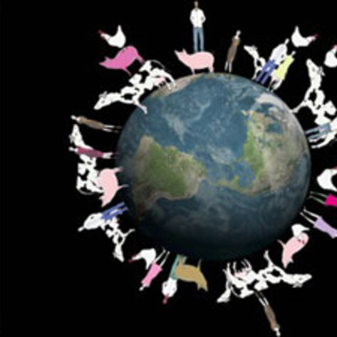 <i>Planeat</i> Food Documentary