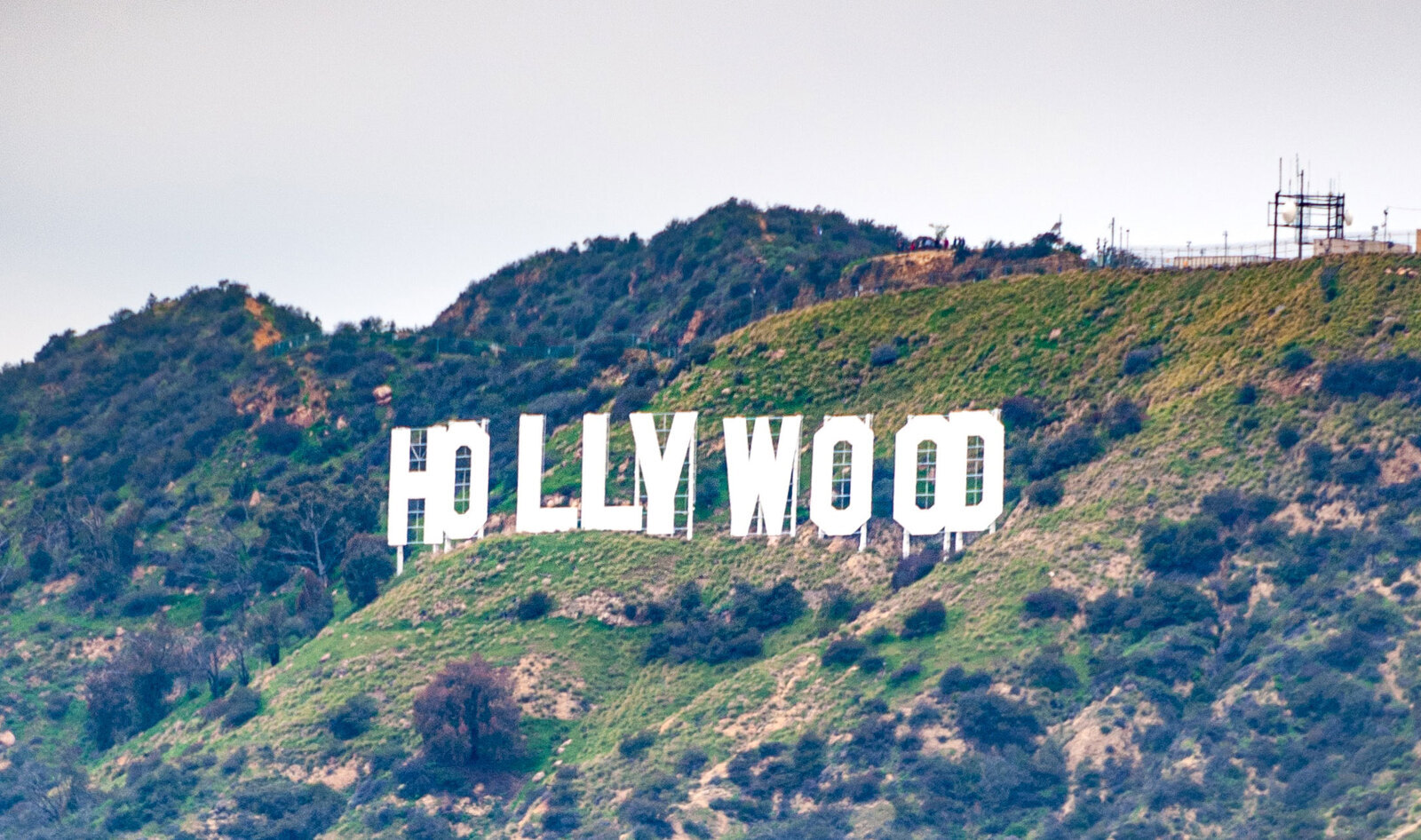Los Angeles Just Became the Largest US City to Join the Plant Based Treaty