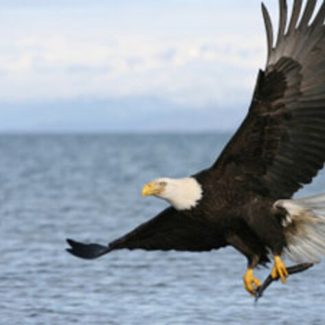 Environmental Protection