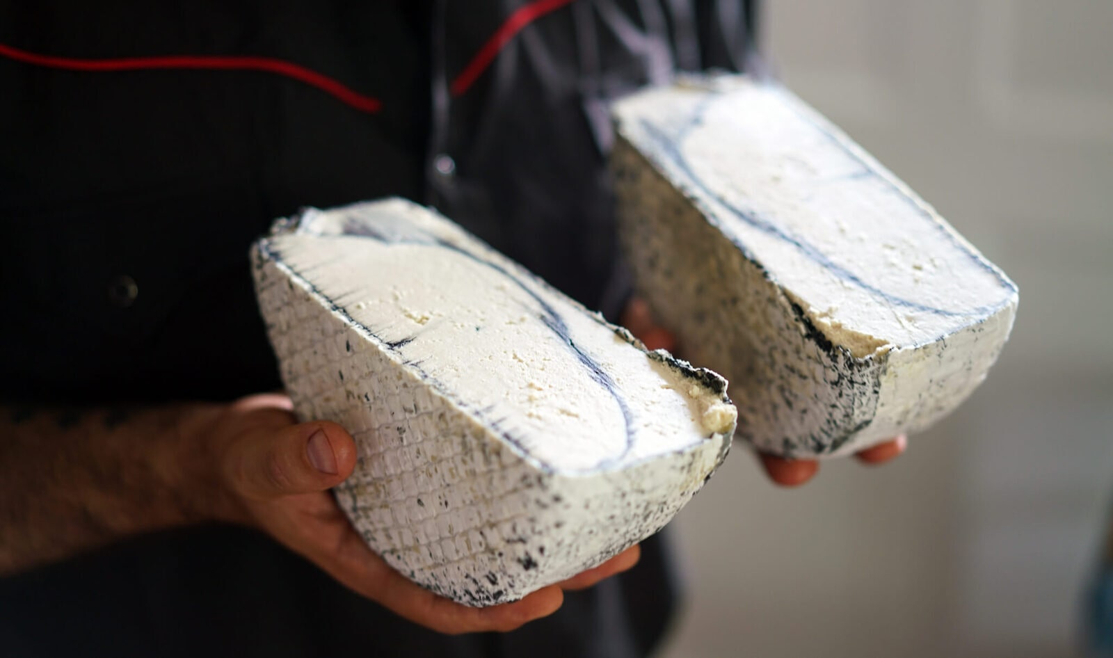 DC Vegan Hot Spot Adds the City's First Dairy-Free Cheese Shop