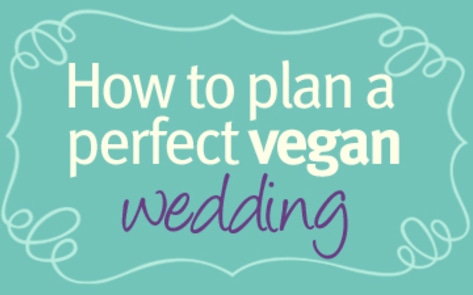 May Twitter Chat: Planning a Perfect Vegan Wedding