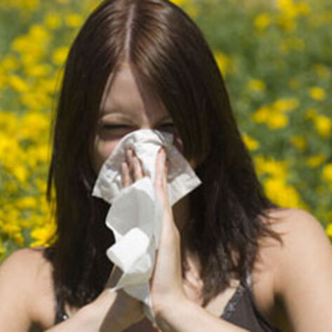 5 Allergy-Soothing Superfoods