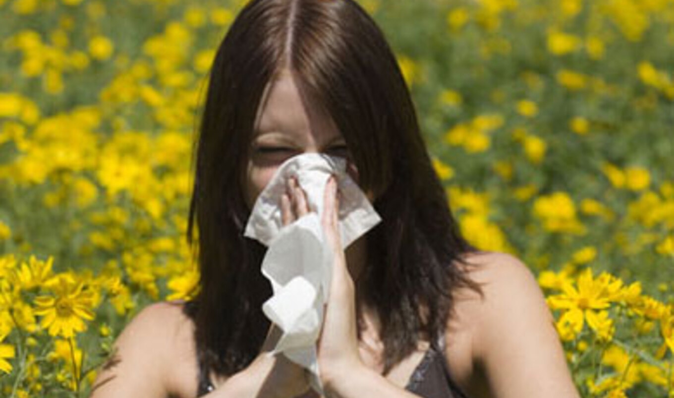 5 Allergy-Soothing Superfoods