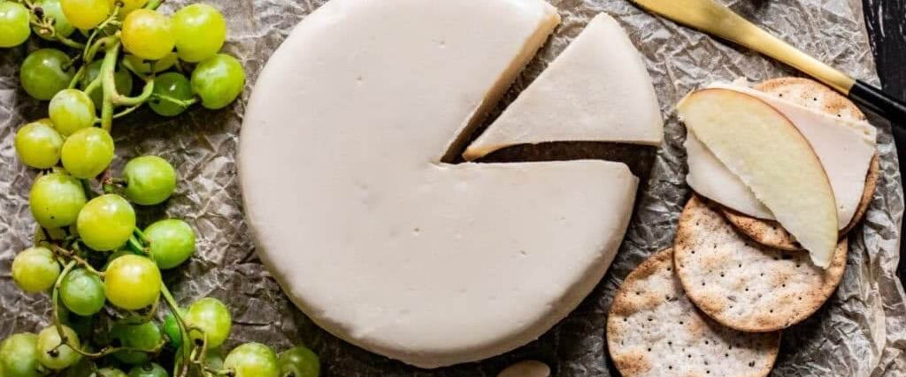 Make Nut-Free, Dairy-Free Cheese at Home With These 5 Easy Tips and Recipes