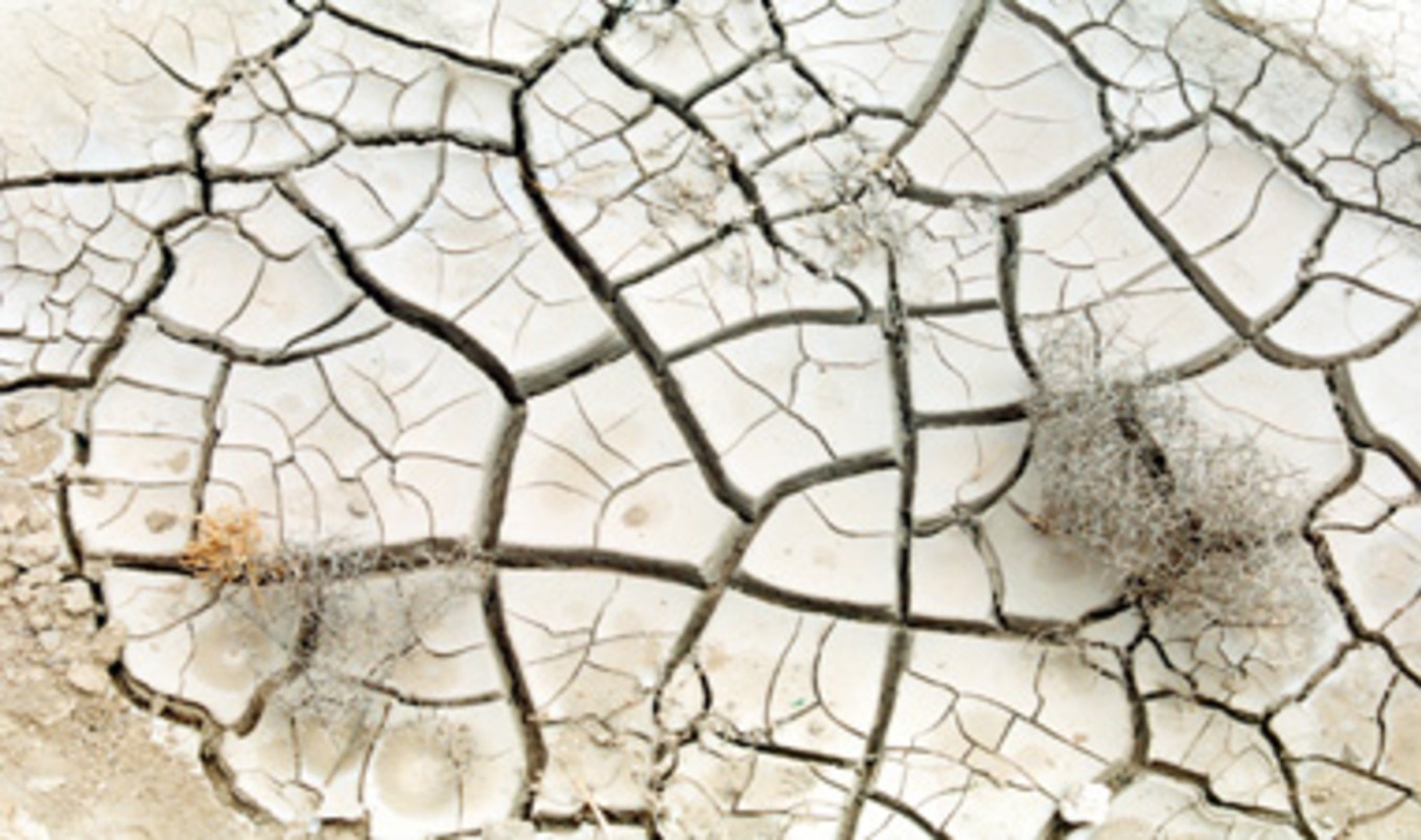 Food Supply Predictions