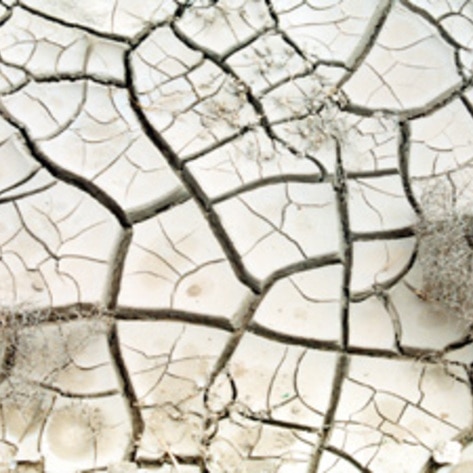 Food Supply Predictions