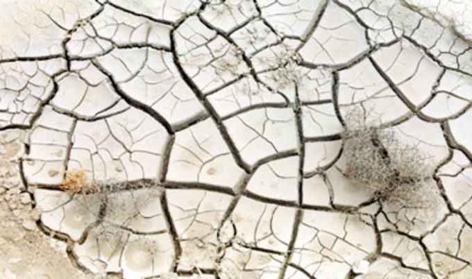 nature.crackedearth