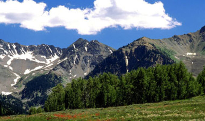 RockiesAspen.VND
