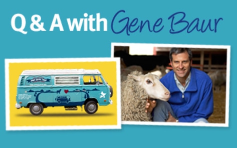 June Twitter Chat: Animals, Then & Now