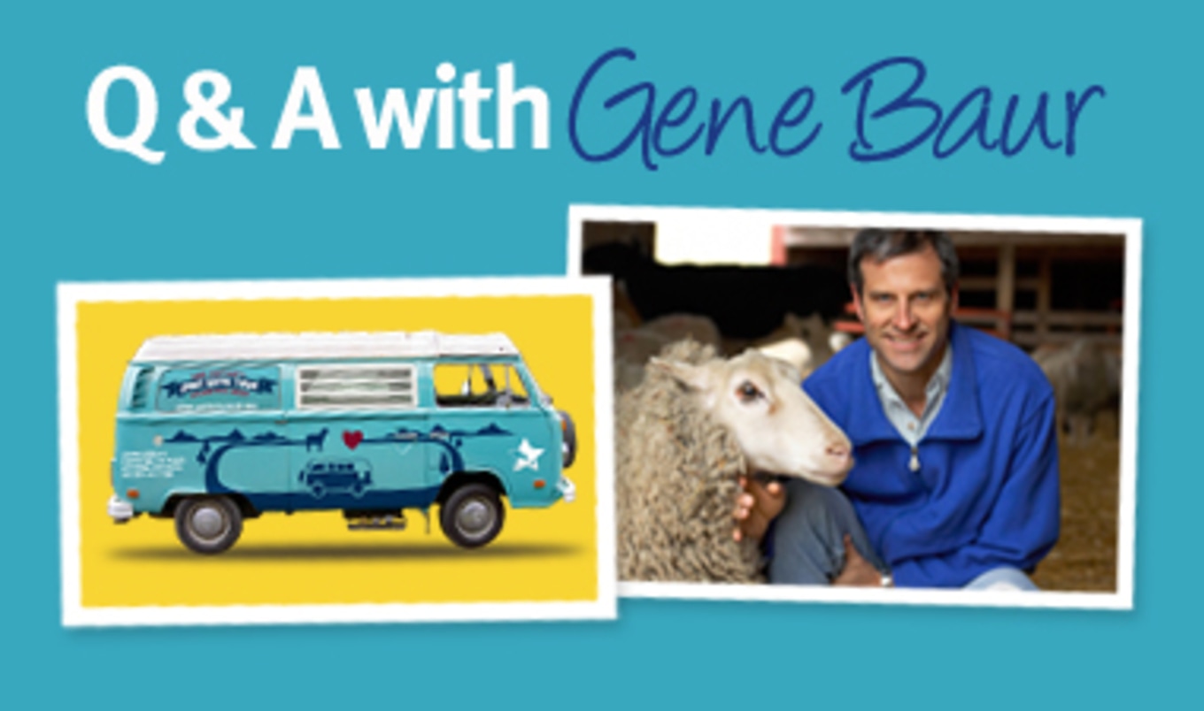 June Twitter Chat: Animals, Then & Now
