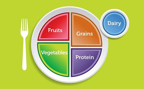 MyPlate: The Vegan Reaction