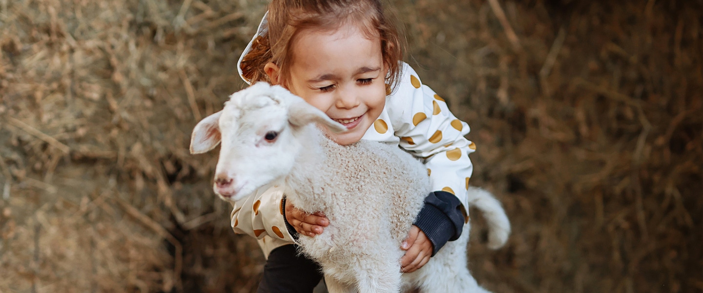 7 Vegan Organizations to Support This Giving Tuesday