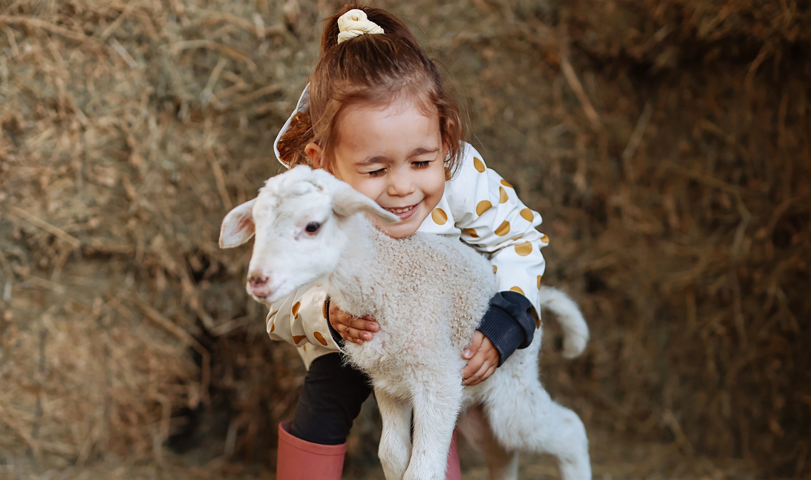 7 Vegan Organizations to Support This Giving Tuesday | VegNews 7 Vegan Organizations to Support This Giving Tuesday | VegNews