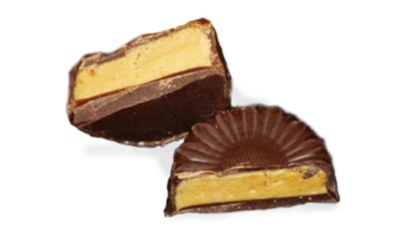 Chocolate Hazelnut-Butter Bites