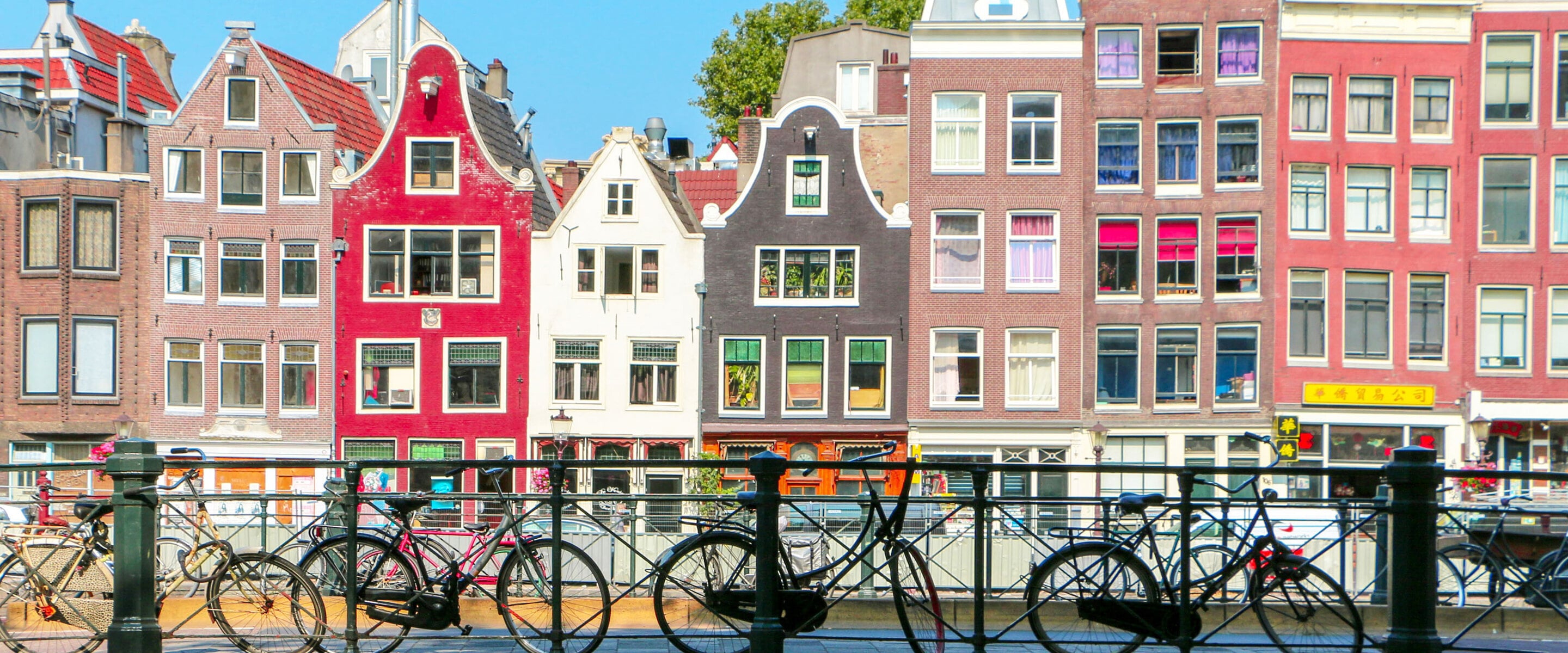 Amsterdam Is Vying With 24 Other Cities for the Title of "Plant-Based Capital"