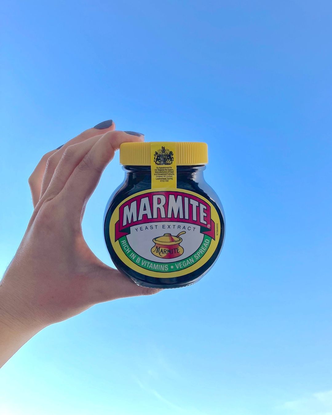 VegNews.marmite
