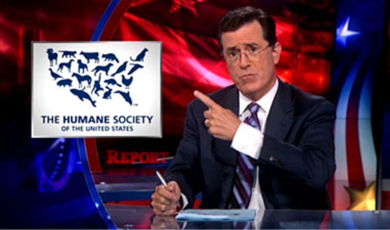 Colbert Calls Out Candidate for Cockfight Speech