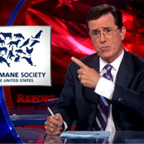 Stephen Colbert Satirizes a Federal Farm Bill