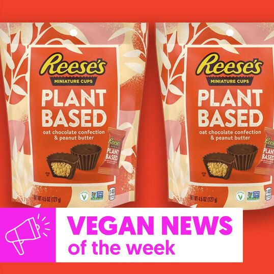 Vegan Food News of the Week: Mini Reese’s Peanut Butter Cups, Oatly’s New Creamers, and Magnum Chill Ice Cream