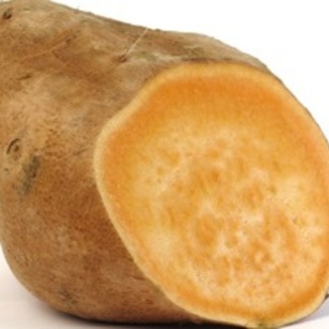 Sweet Potatoes Could Fight Malnutrition