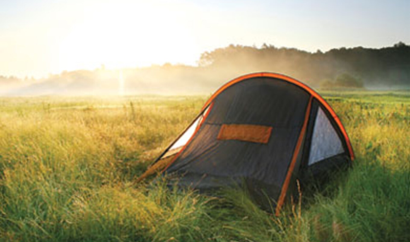 5 Easy Steps to an Awesome Vegan Campout