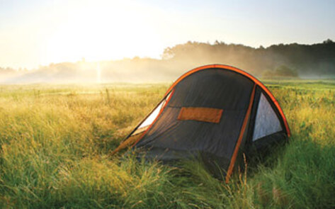 5 Easy Steps to an Awesome Vegan Campout