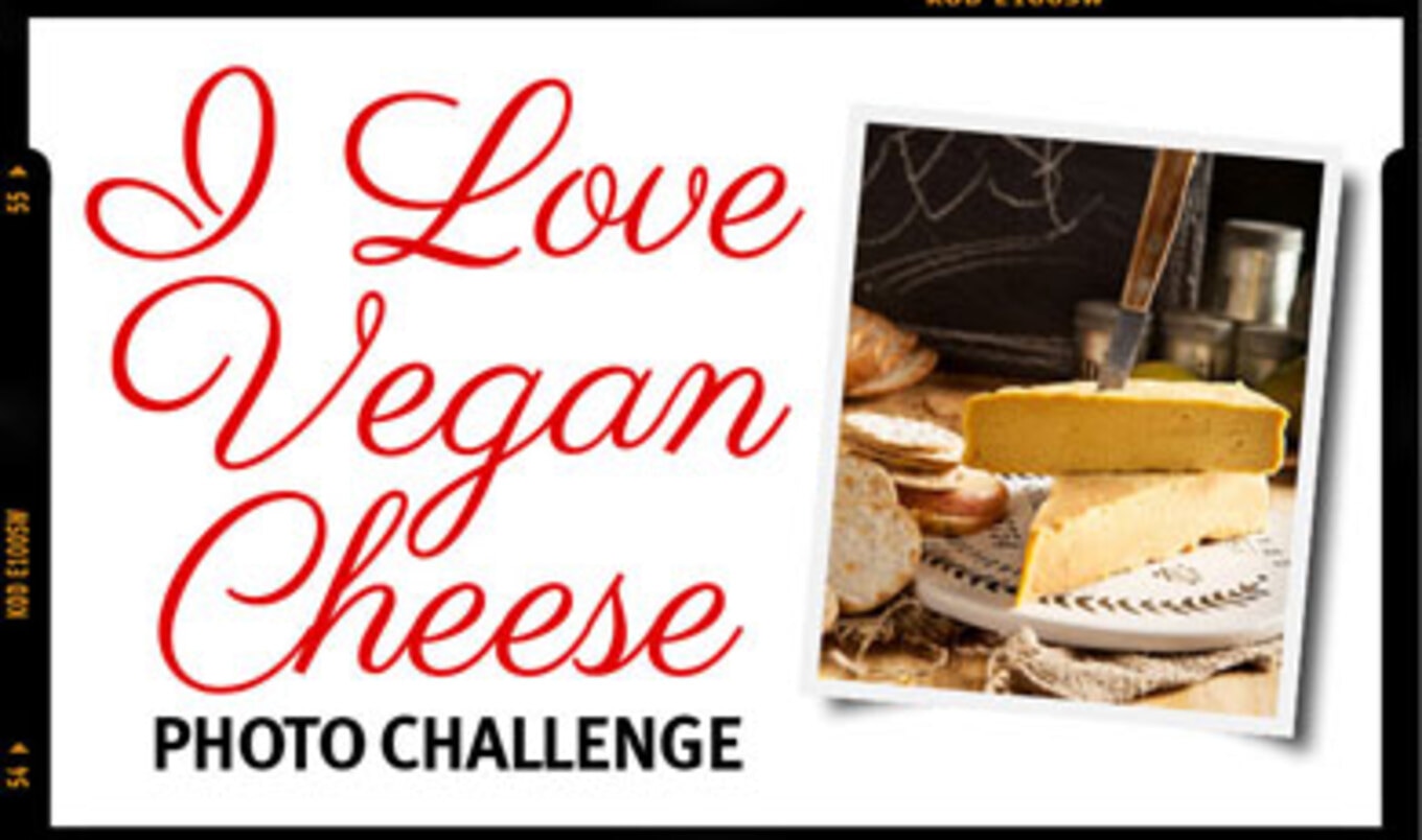 VegNews Vegan Cheese Photo Challenge