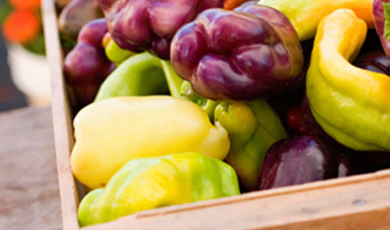 New Supermarket Resells Surplus Food