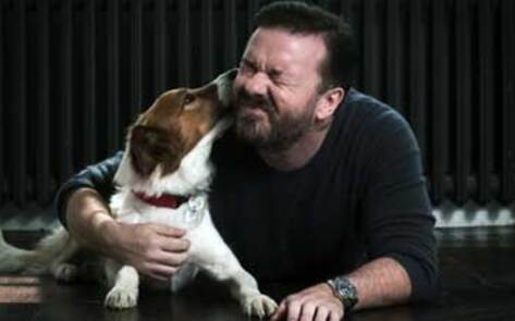 Ricky Gervias the Voice of the Red Collar Campaign