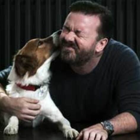 Ricky Gervias the Voice of the Red Collar Campaign