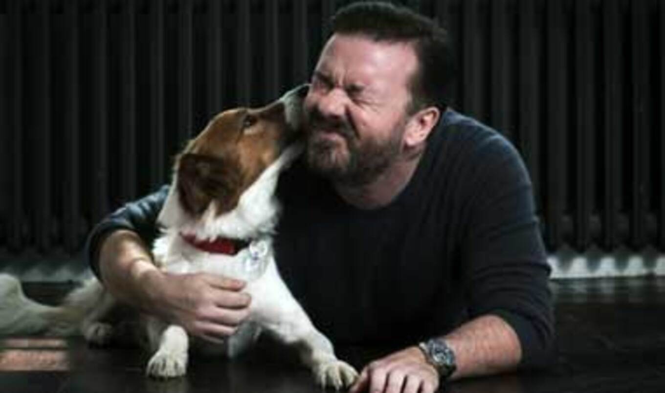 Ricky Gervias the Voice of the Red Collar Campaign