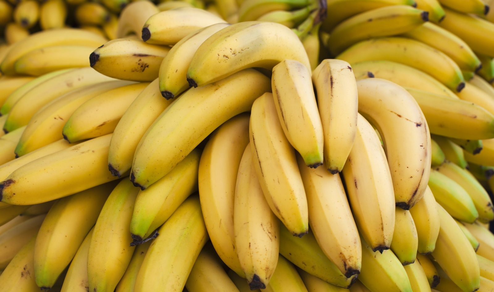Trader Joe's Just Raised Banana Prices for the First Time in 20 Years, and Climate Change Might Be to Blame