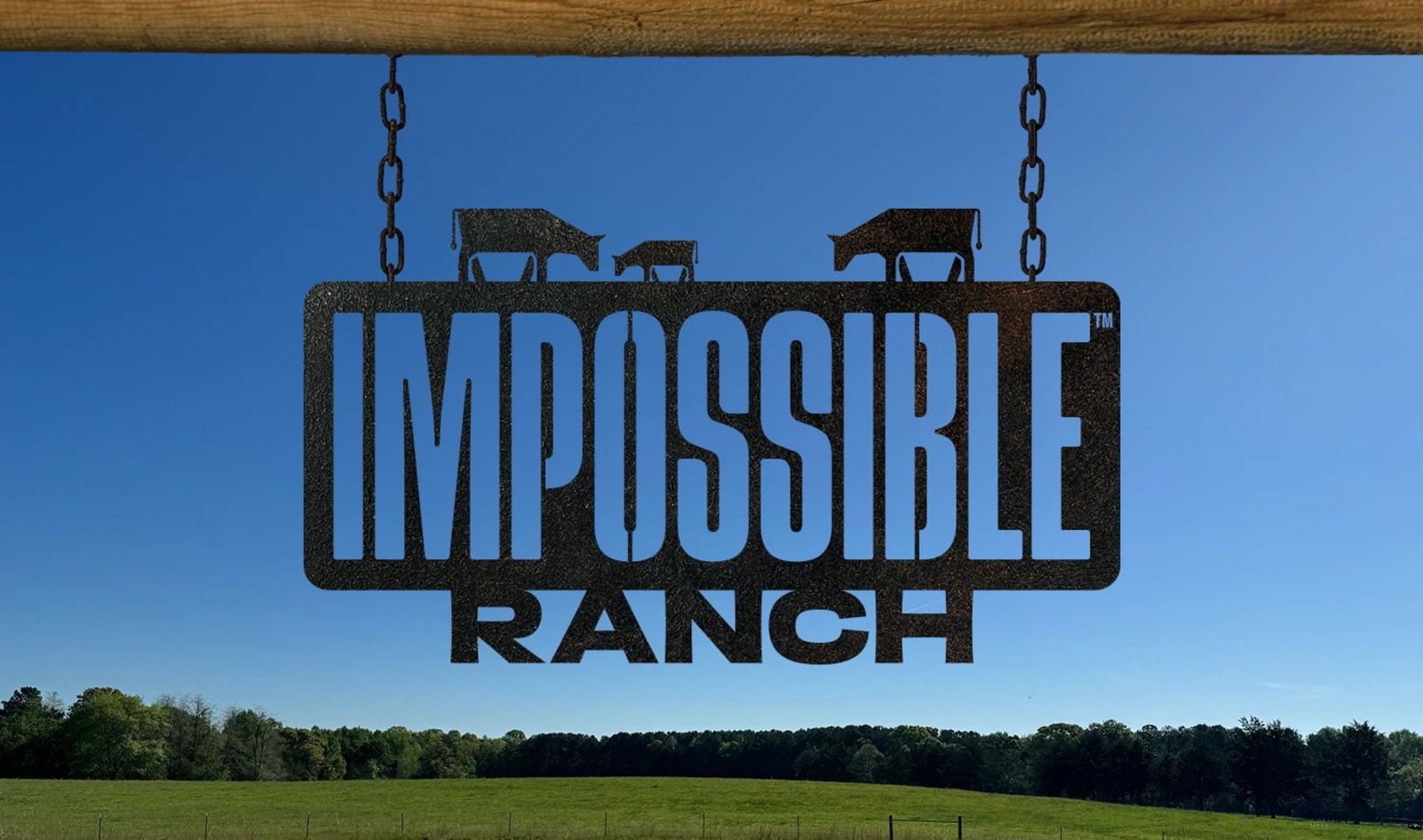 Impossible Foods Is Opening a Cattle-Free Ranch, But Vegan Restaurants Are Serving Meat: What's Going on in the Food Industry Right Now?