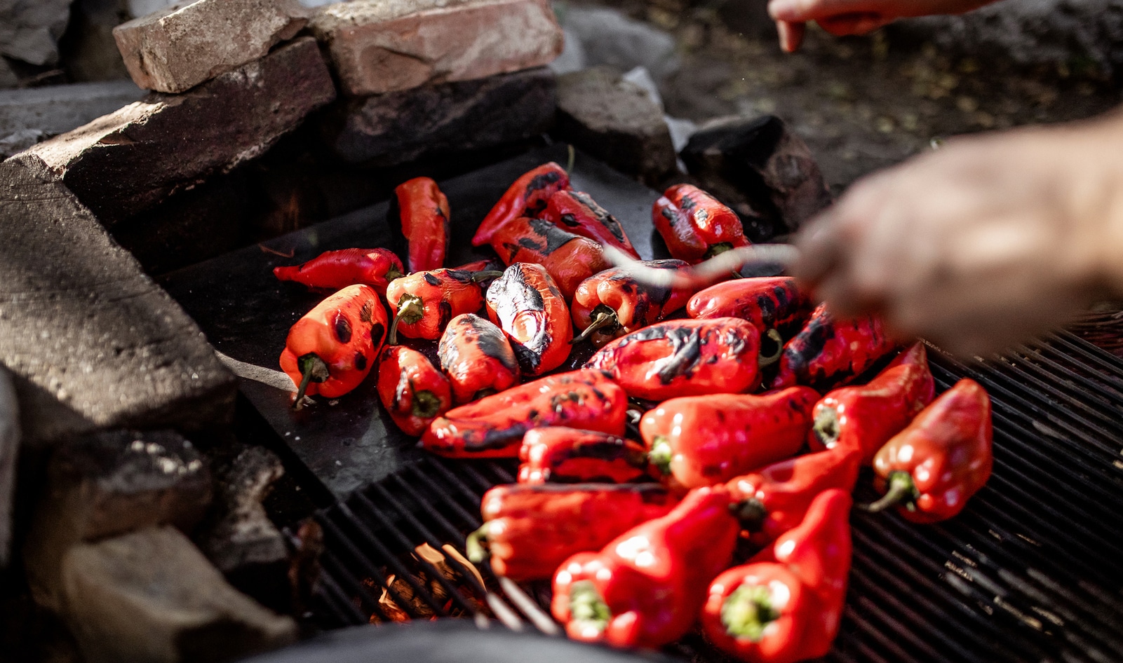 Beyond the Jalapeño: 7 Mild Peppers to Elevate Your Plant-Based Cooking (Plus Recipes!)