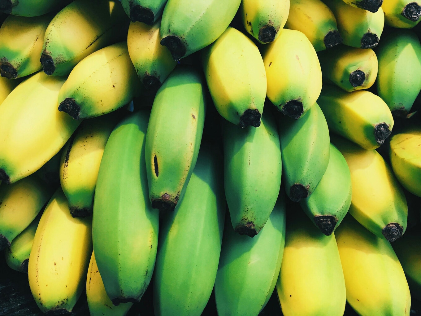 Bananas-Green