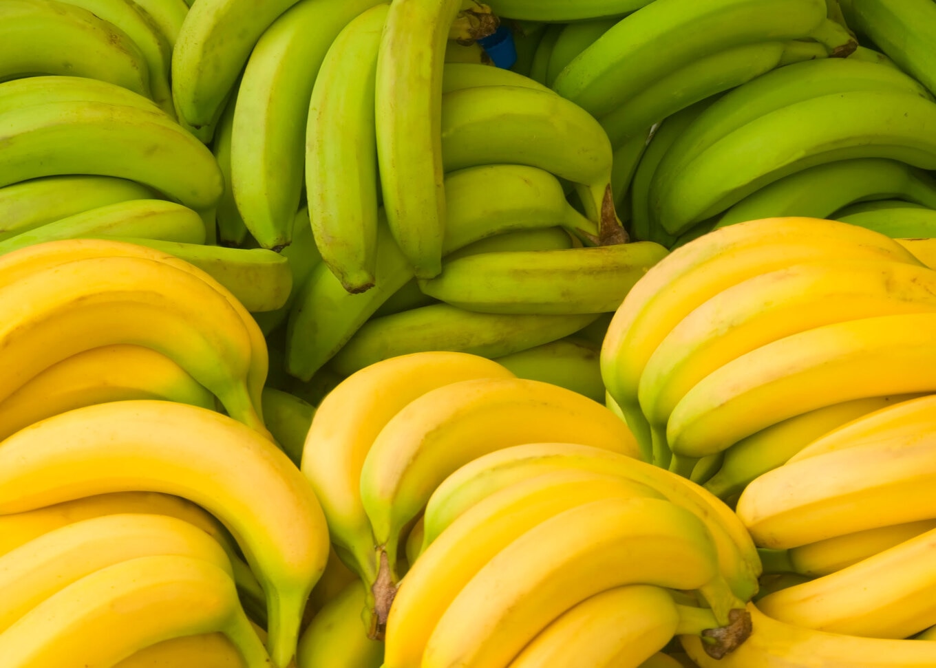 Ripe-Bananas