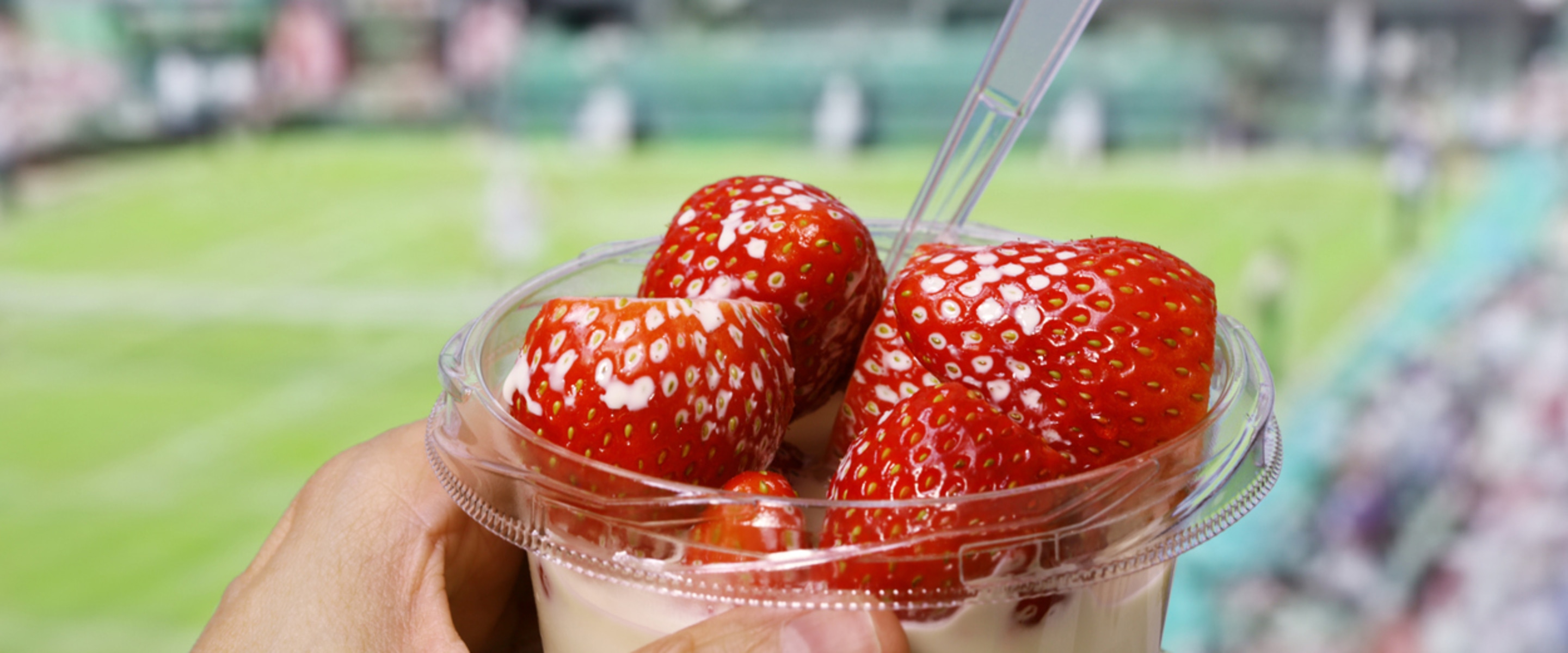 From Wimbledon to the US Open, the 2024 Grand Slams Menus Serve Up Plants