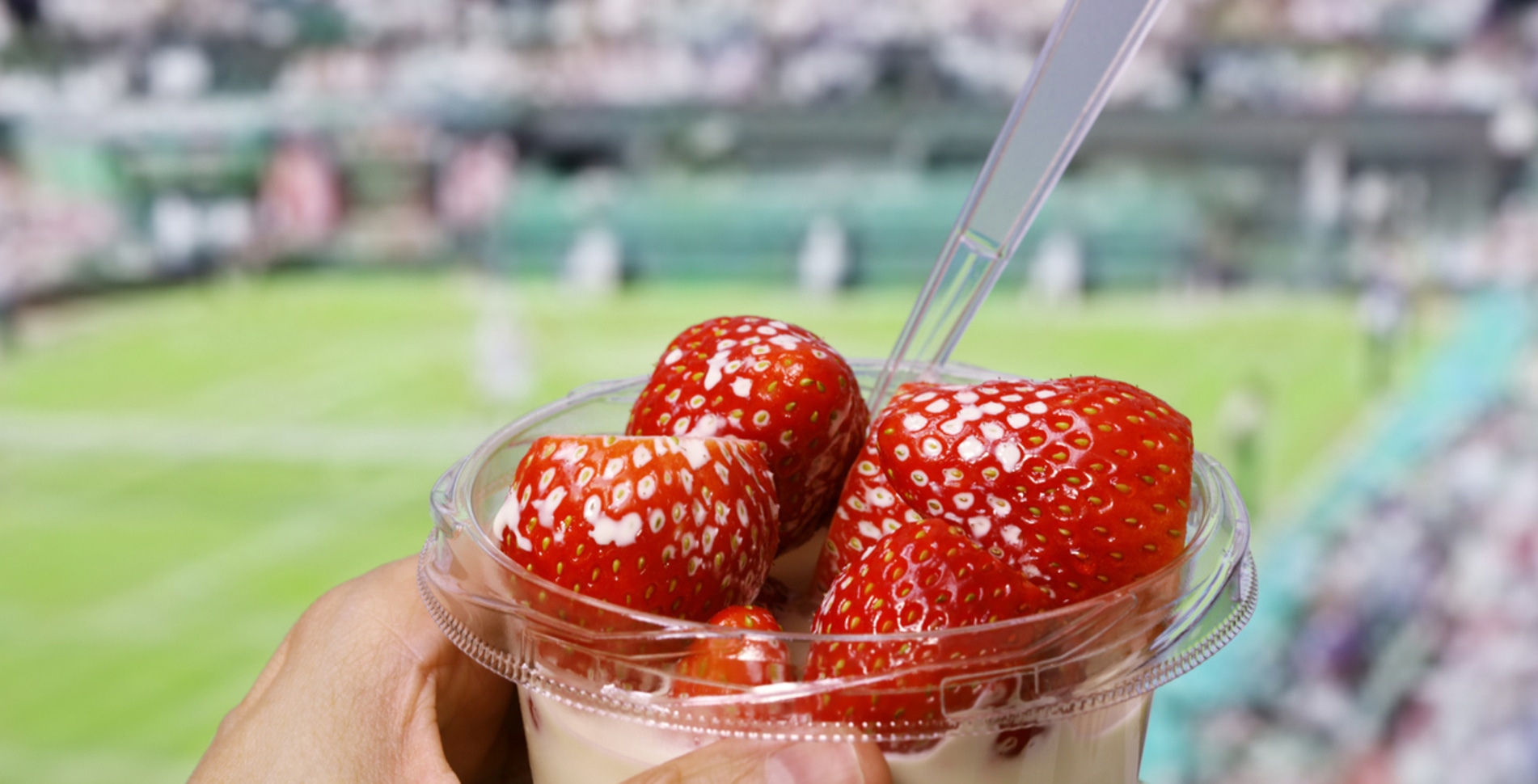 From Wimbledon to the US Open, the 2024 Grand Slams Menus Serve Up Plants