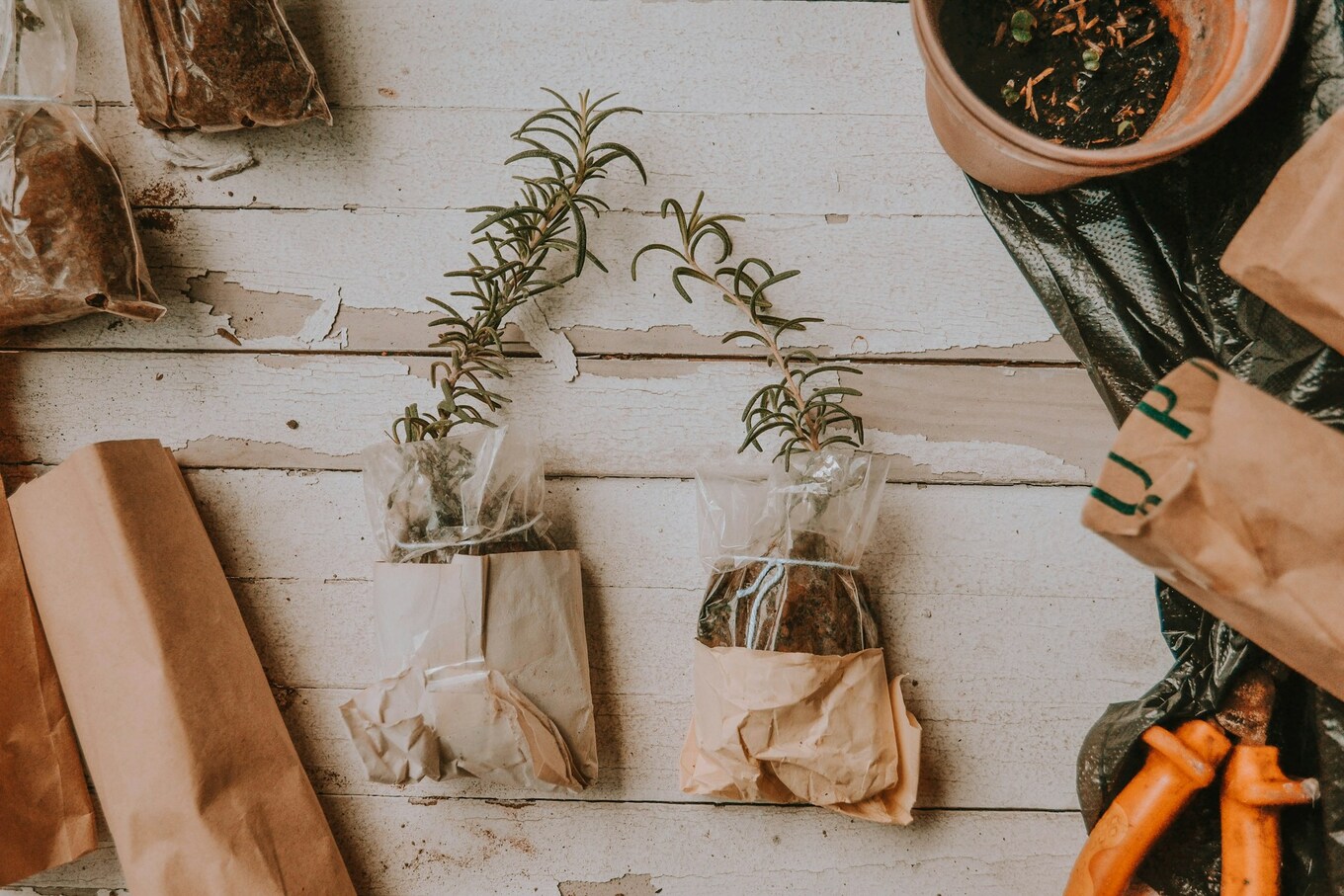 Rosemary Bags