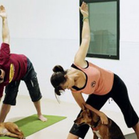Yoga for Dogs