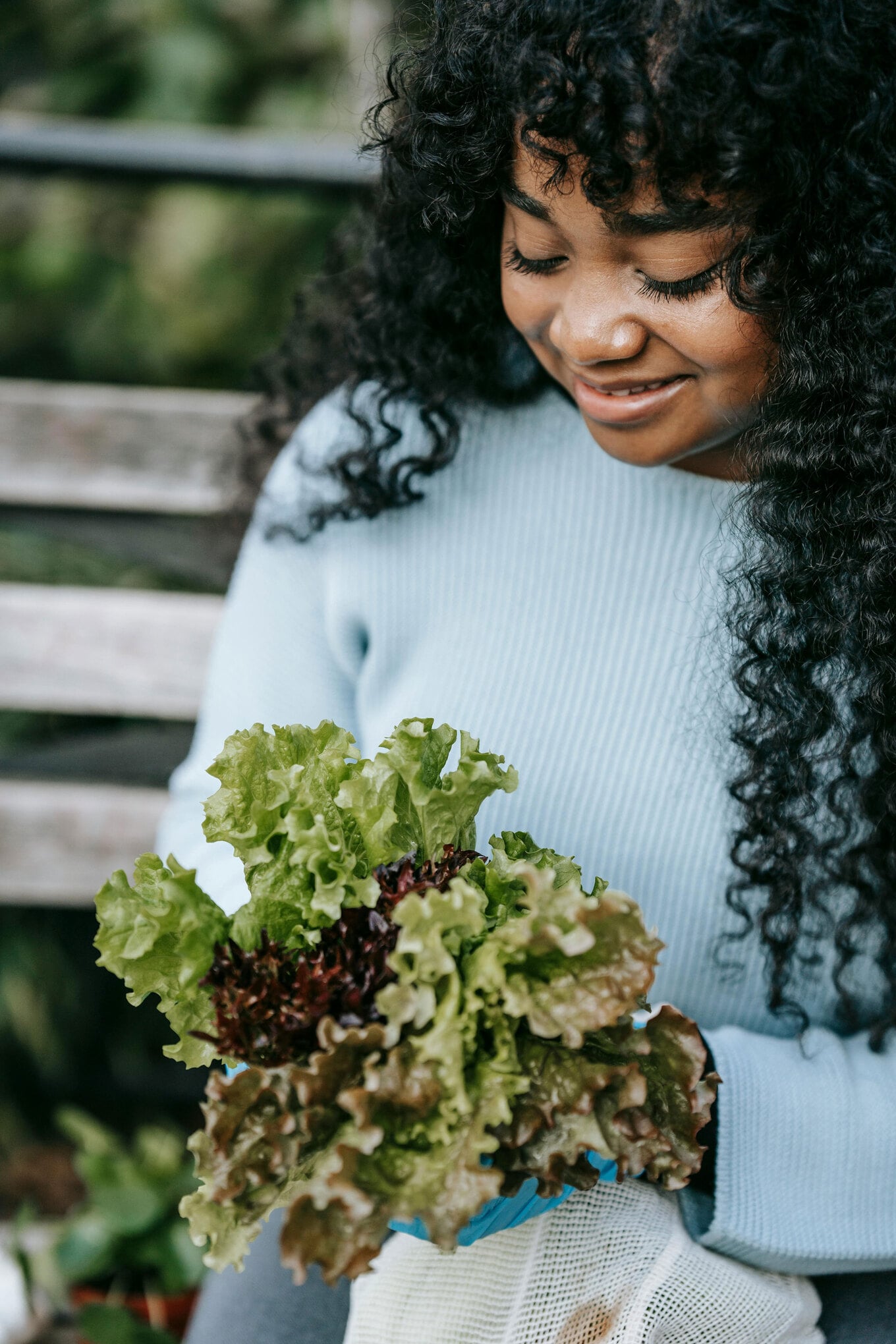 Greens-Salad