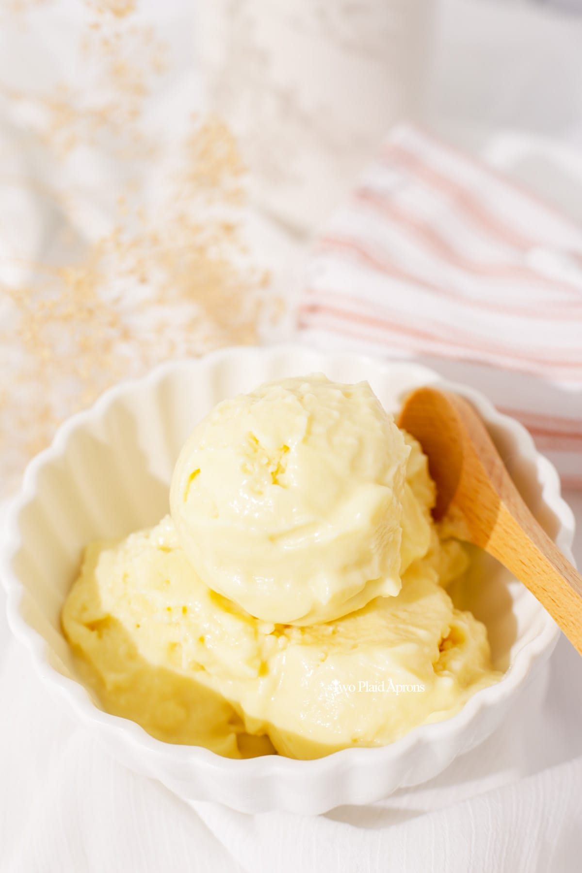 Durian Ice Cream