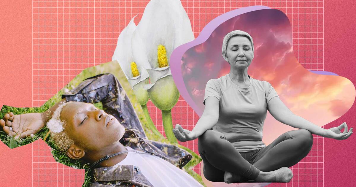 How and Why to Make Meditation Part of Your Healthy Lifestyle - Vimarsana News