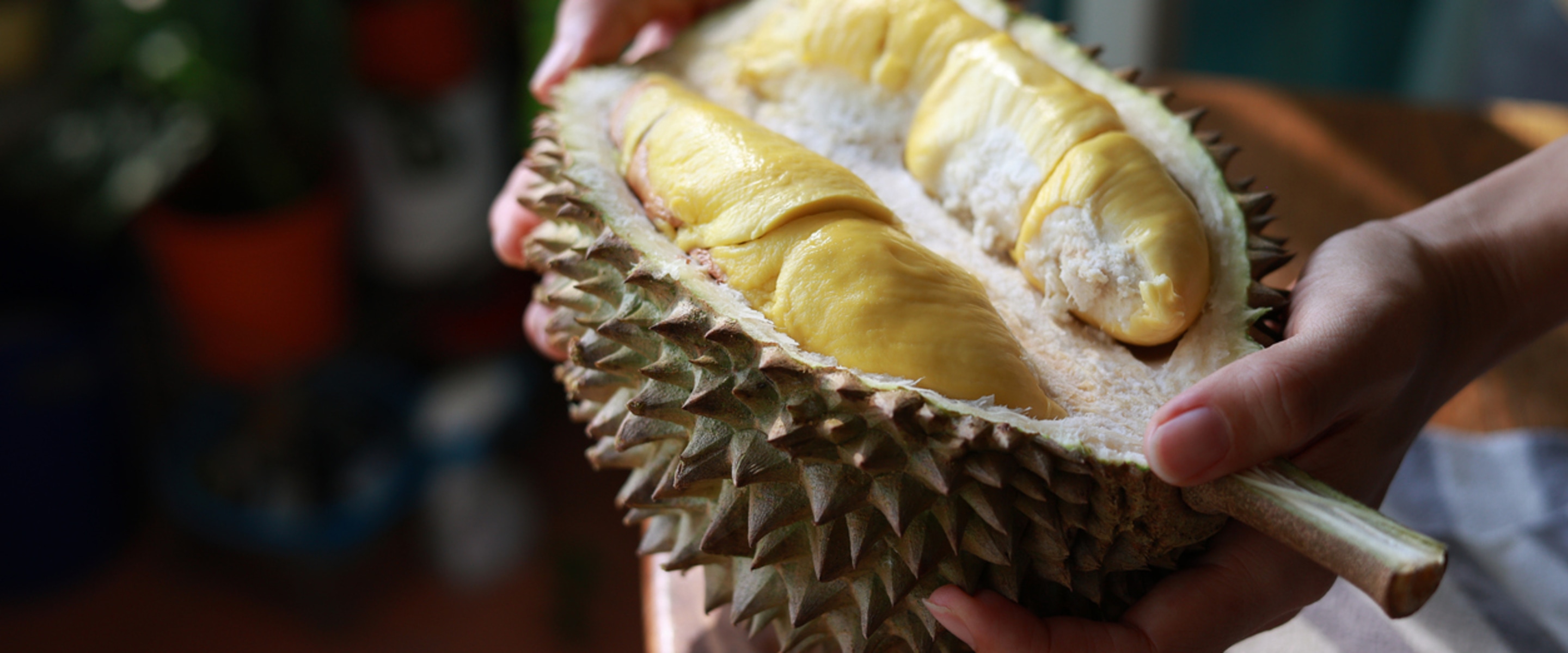 It's So Stinky! But the Nutrient-Packed Durian Is a Must-Try Fruit