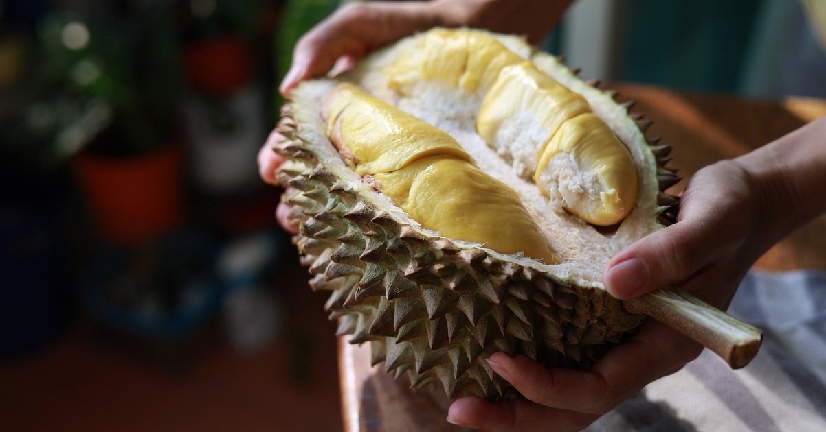It's So Stinky! But the Nutrient-Packed Durian Is a Must-Try Fruit - Vimarsana News