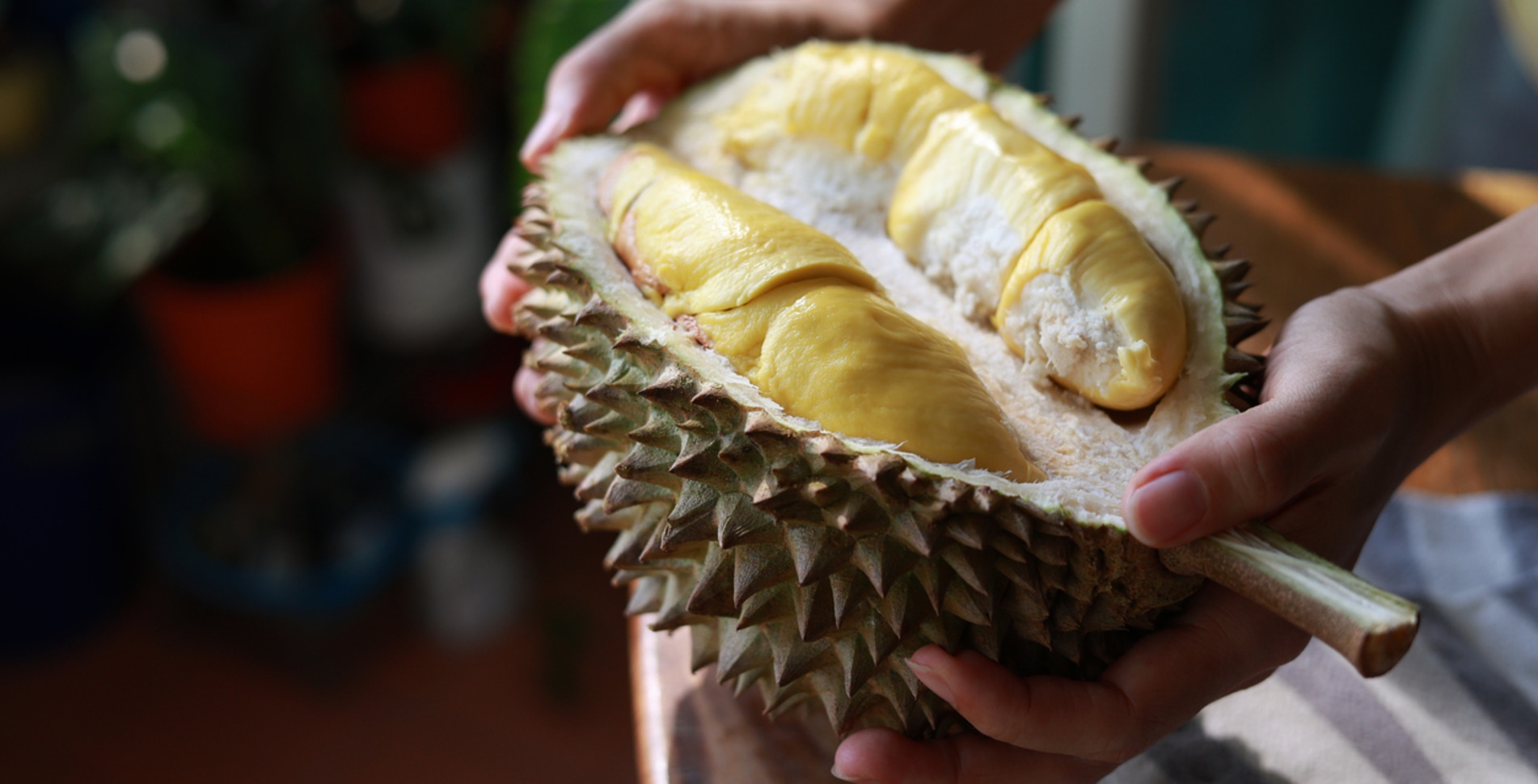 It's So Stinky! But the Nutrient-Packed Durian Is a Must-Try Fruit