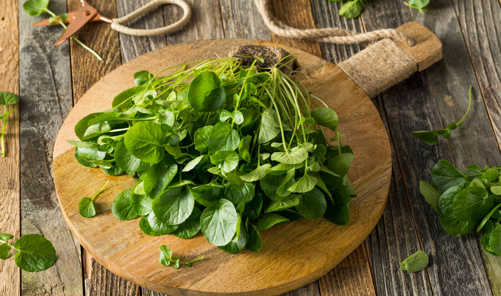 Why the World’s Healthiest Vegetable Rarely Makes It to Dinner